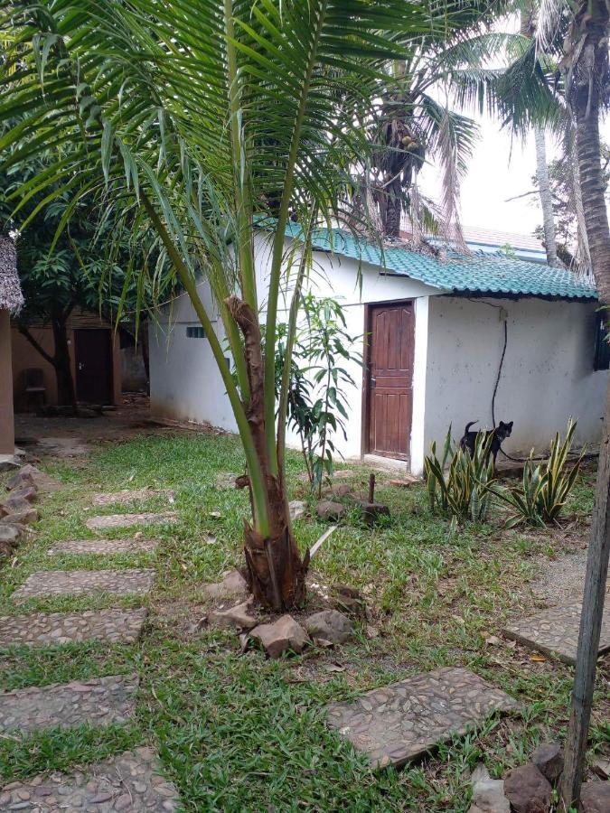 The Plantation Pansiyon Kampot Dış mekan fotoğraf